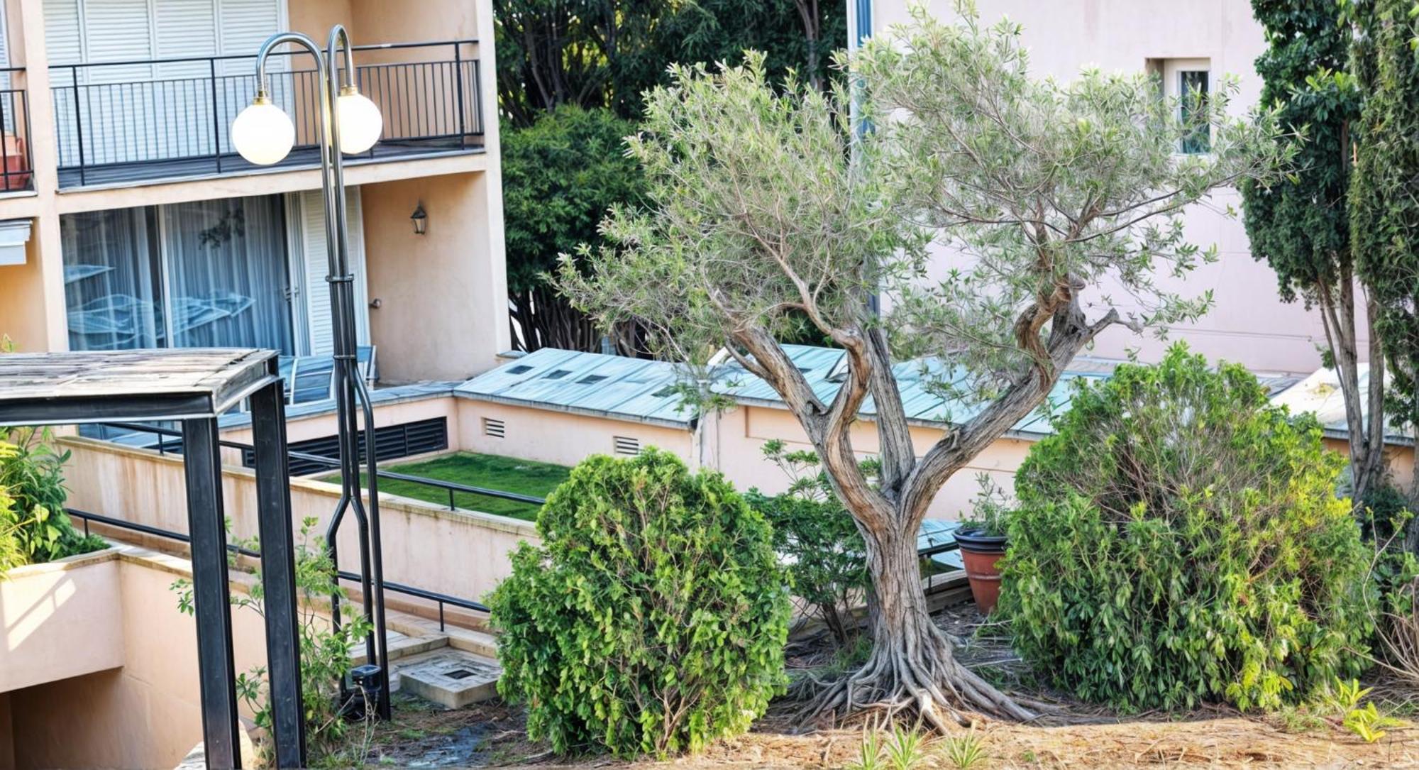Precioso Apartamento Reformado En 1Ra Linea De Mar Sin Vistas Calella De Palafrugell Camera foto